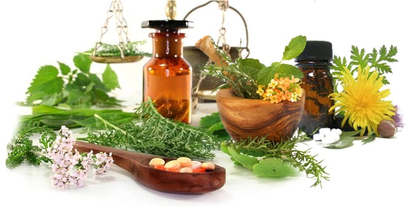 Фармакогнозия для студентов 2-4 курсов